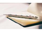 849™ Ballpoint Pen GIRL IN RED Silver Grey – Special Edition